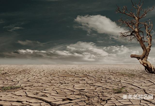 如何给岑姓男宝起一个有新意的名字 如何给岑姓男宝起一个有新意的名字