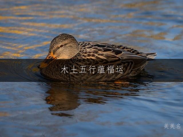 木土五行蕴福运 吉祥男孩名字精选