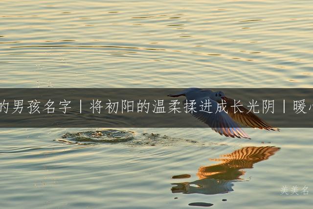 自带治愈光环的男孩名字|将初阳的温柔揉进成长光阴|暖心起名宝藏清单