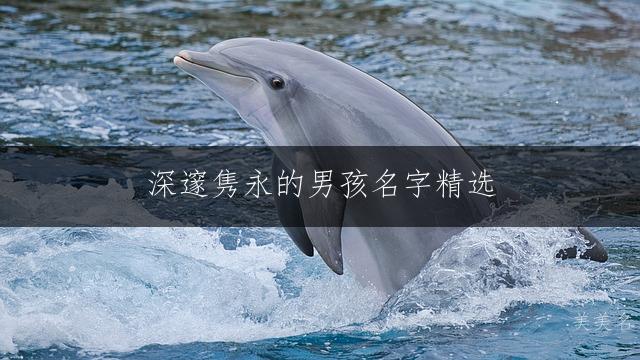 深邃隽永的男孩名字精选:赋予独特思想魅力的雅韵之选