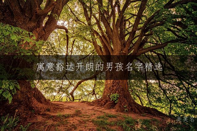寓意豁达开朗的男孩名字精选:200个彰显阳光气度的洒脱好名