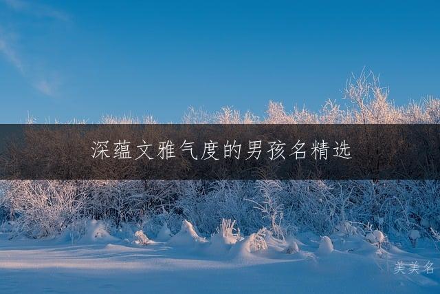 深蕴文雅气度的男孩名精选:儒雅大方不失格调的起名灵感集