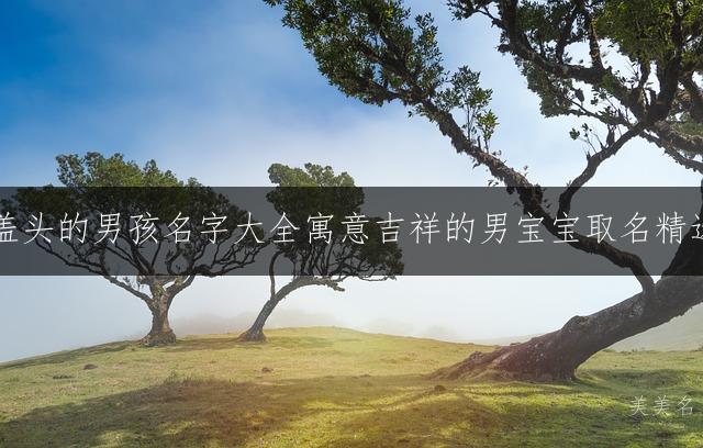 带宝盖头的男孩名字大全寓意吉祥的男宝宝取名精选推荐