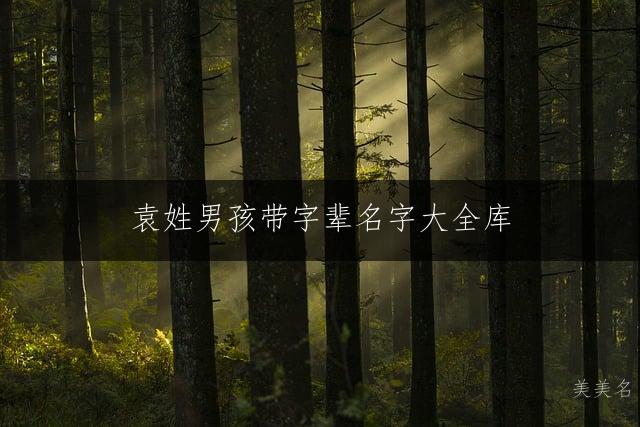 袁姓男孩带字辈名字大全库