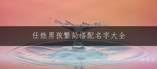 任姓男孩繁简搭配名字大全