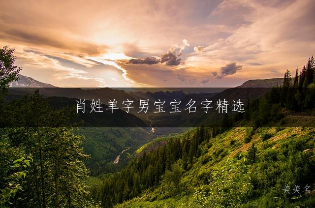 肖姓单字男宝宝名字精选 男孩洋气好听大气取名推荐