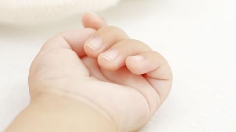 廖姓女孩雅致简约名字精选集