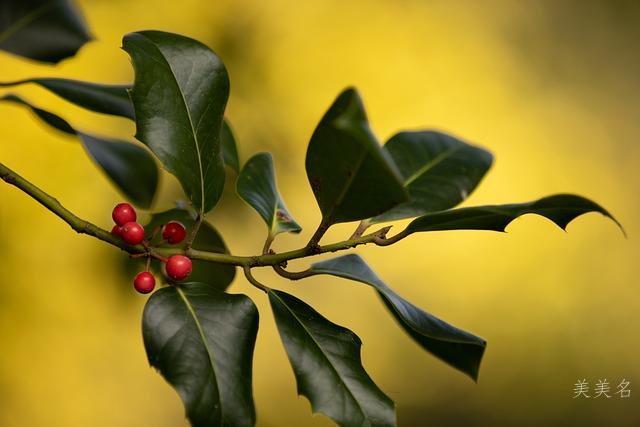 孙姓单字男孩名字精选大全响亮好听又寓意美好的吉祥好记简单大气男宝宝取名推荐