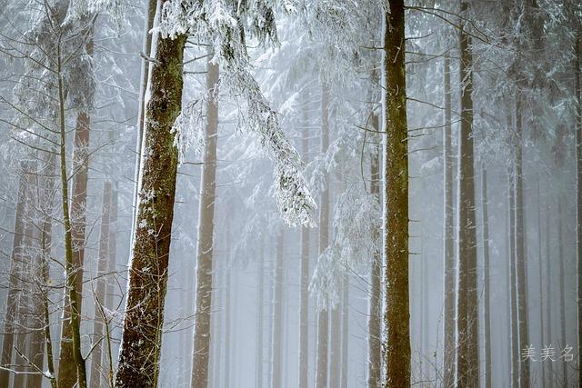 带湘字的吉祥大气男孩名字精选有财运的如意好名推荐