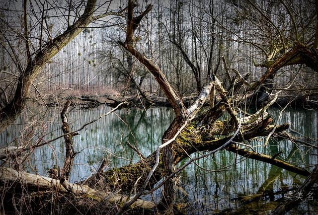 气质男孩一繁一简名字精选
