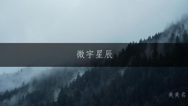 微宇星辰,少年的凌云之名;微字藏锋,男孩的大气之选