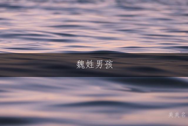 魏姓男孩,繁简相生的名字集萃