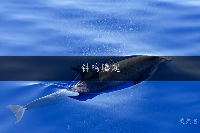 钟鸣腾起,钟姓带腾字的男孩名字