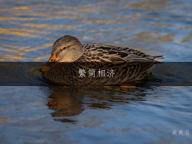 繁简相济,气质不凡的男孩名字