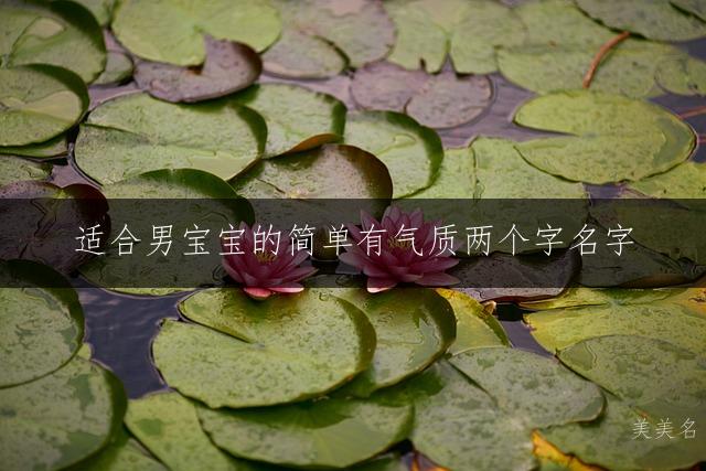 适合男宝宝的简单有气质两个字名字