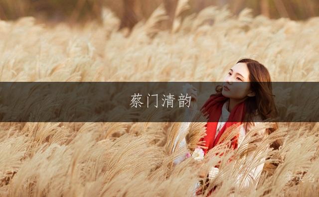 蔡门清韵,灵动雅致的三字芳名