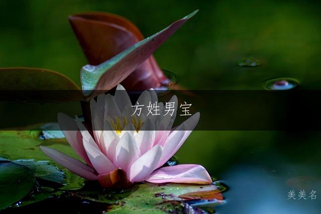 方姓男宝,简笔画名;三字吉名,大气天成