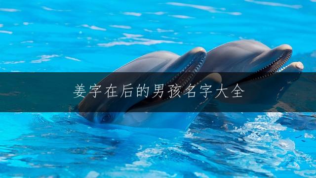 姜字在后的男孩名字大全