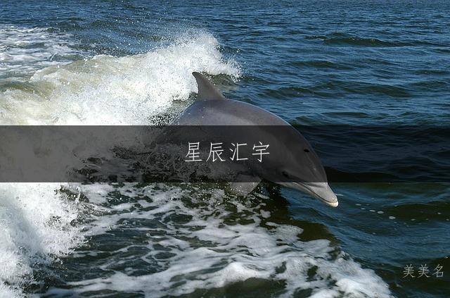 星辰汇宇,大气带汇字的男孩名字