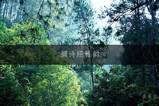 撷诗经雅韵,取聪明大气的男孩名字