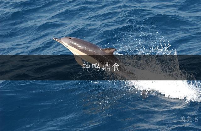 钟鸣鼎食,钟姓的男孩单字雅韵名字