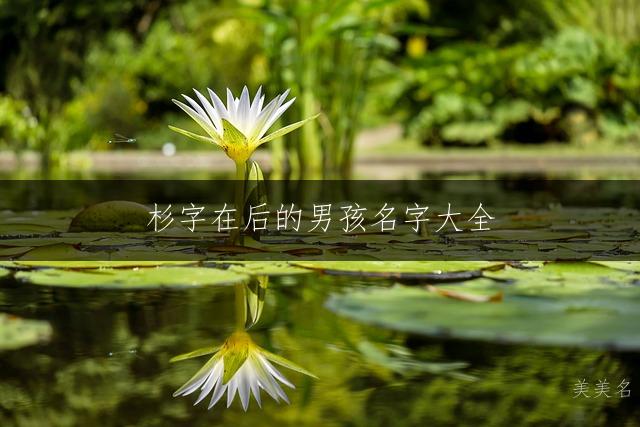 杉字在后的男孩名字大全