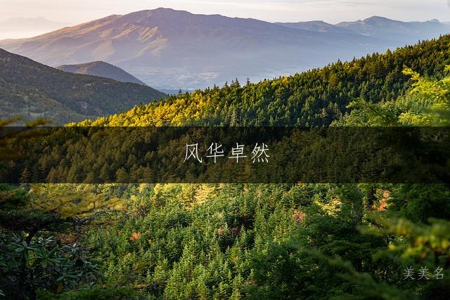 风华卓然,五行带木的男孩名字