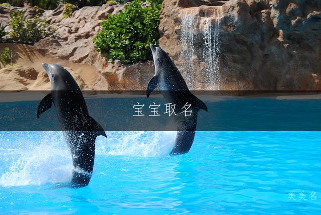 宝宝取名|寓意虚怀若谷的男孩名字推荐