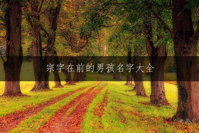 宗字在前的男孩名字大全