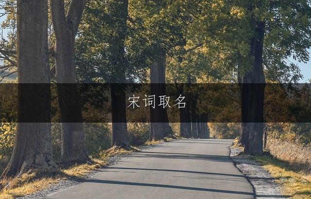 宋词取名,男孩的响亮大气之名