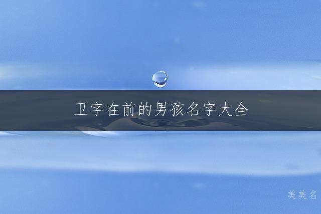 卫字在前的男孩名字大全