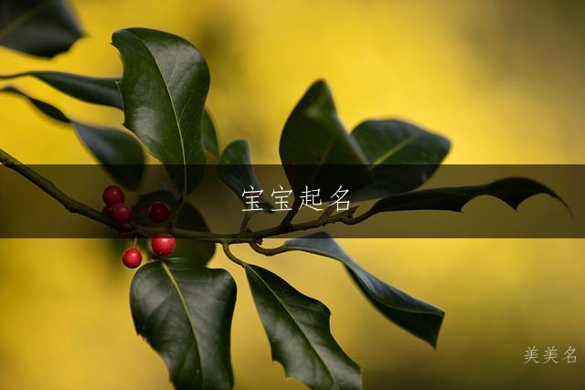 宝宝起名|代表无畏的男孩名字推荐