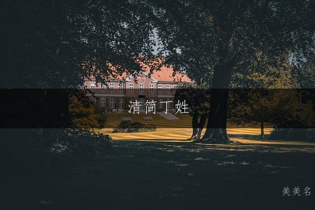 清简丁姓,男孩三字佳名;