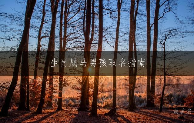 生肖属马男孩取名指南:聪明大气的名字这样取