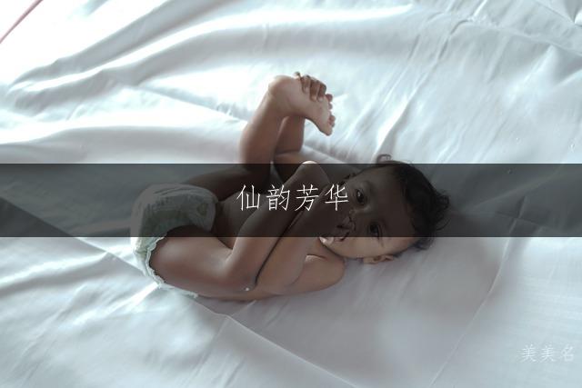 仙韵芳华,杨姓的雅致女孩名字
