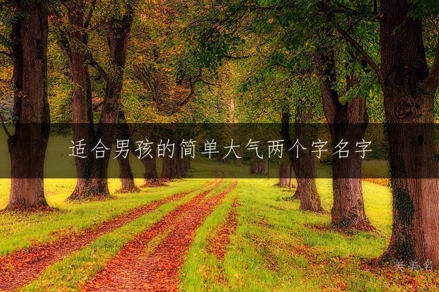 适合男孩的简单大气两个字名字