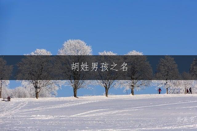 胡姓男孩之名,一繁一简的雅致搭配大全