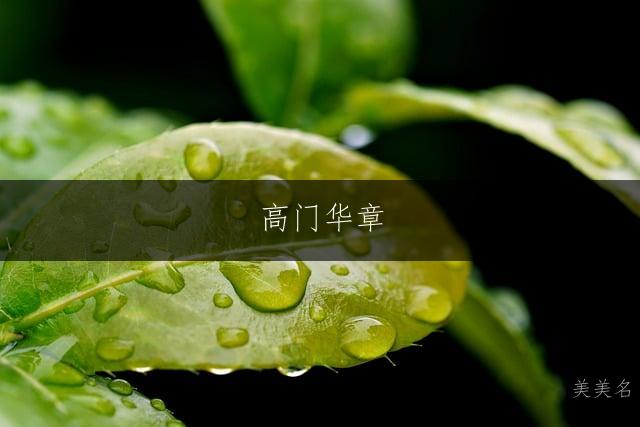 高门华章,光耀九州的高姓单字男孩名字