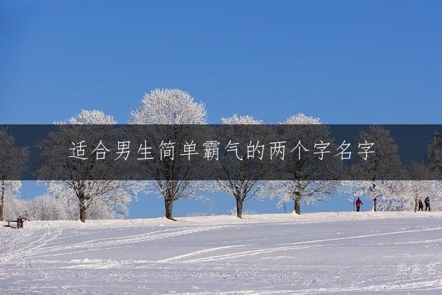 适合男生简单霸气的两个字名字
