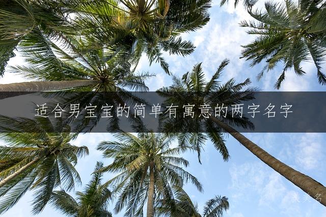 适合男宝宝的简单有寓意的两字名字