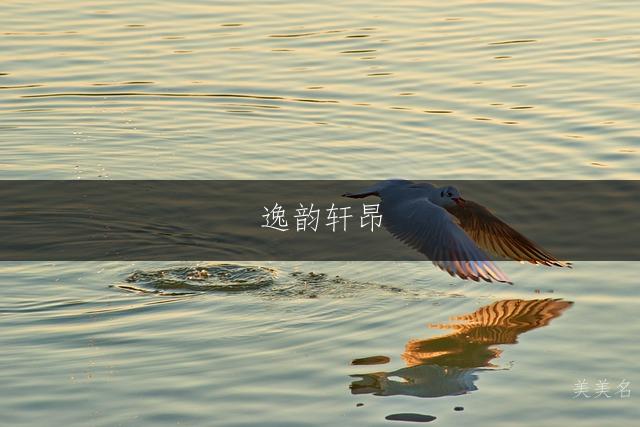 逸韵轩昂,带衣字旁的男孩名字