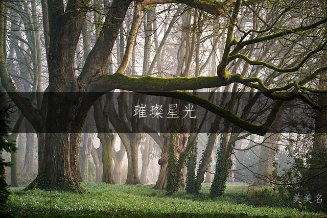 璀璨星光,五行带金的男孩名字