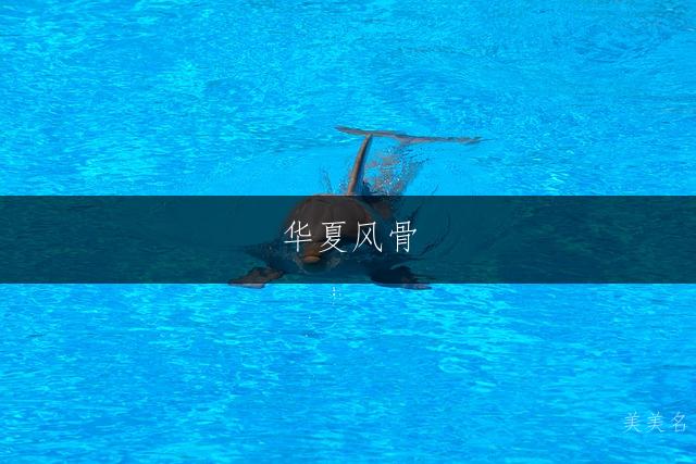 华夏风骨,带豫字的意蕴男孩名字