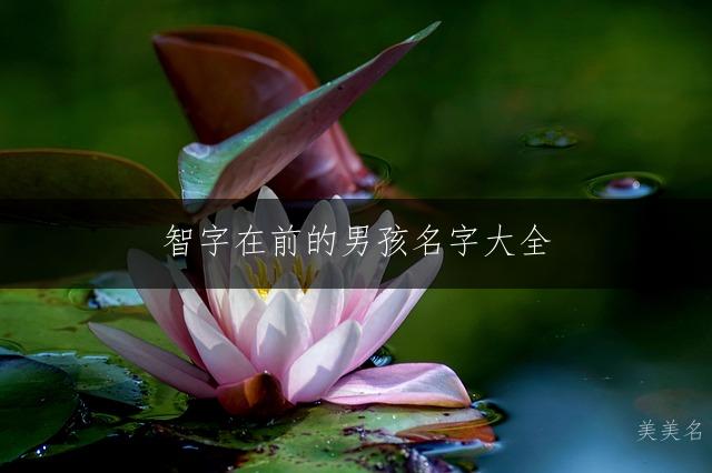 智字在前的男孩名字大全