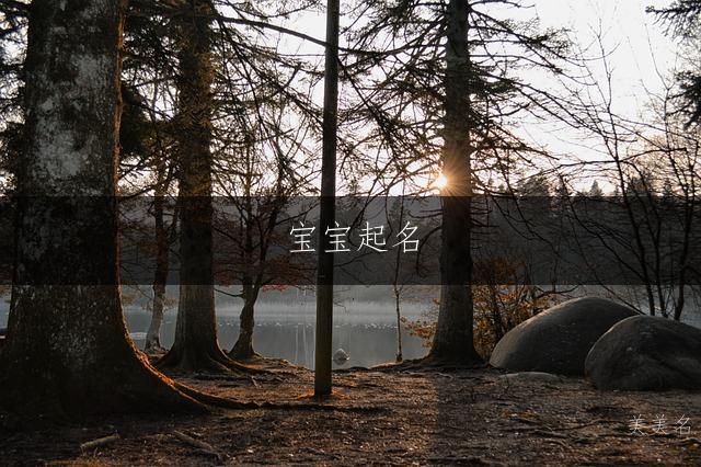 宝宝起名|寓意坚韧不拔的男孩名字推荐