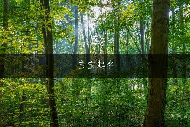 宝宝起名|智周万物的男孩名字推荐