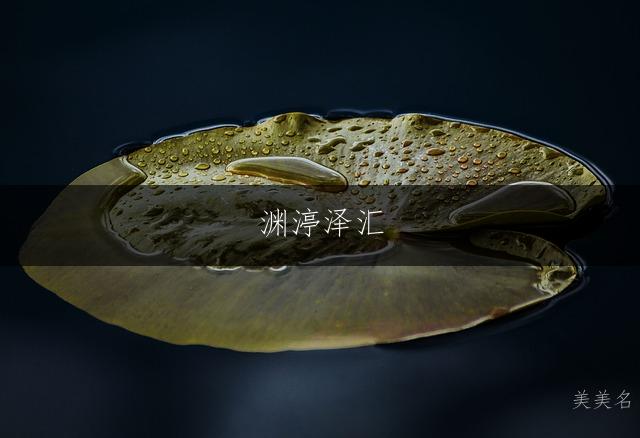 渊渟泽汇,五行带水的男孩名字