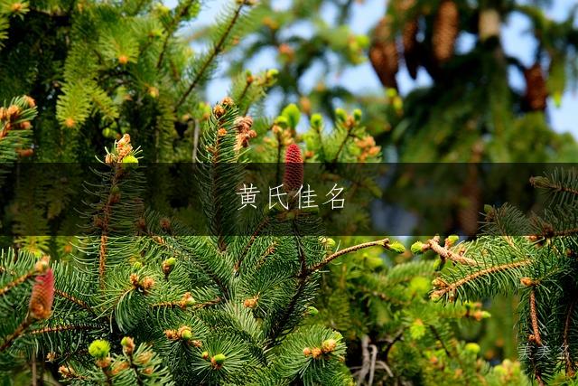 黄氏佳名,简约大气的三字男名