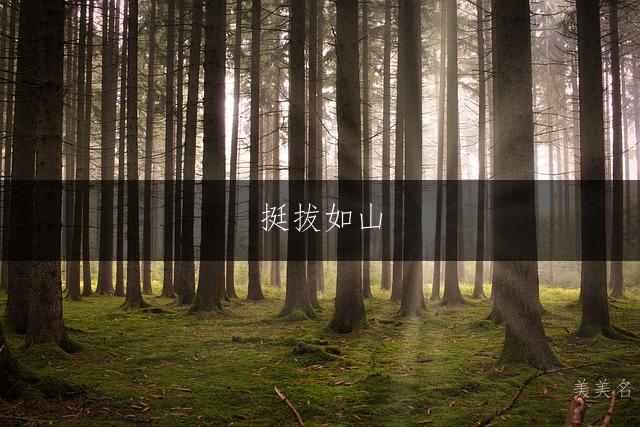 挺拔如山,带山字旁的男孩名字