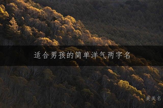 适合男孩的简单洋气两字名